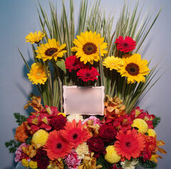 公演御祝、開店御祝等