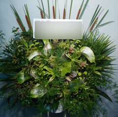 7月後半スタンド花を何点か