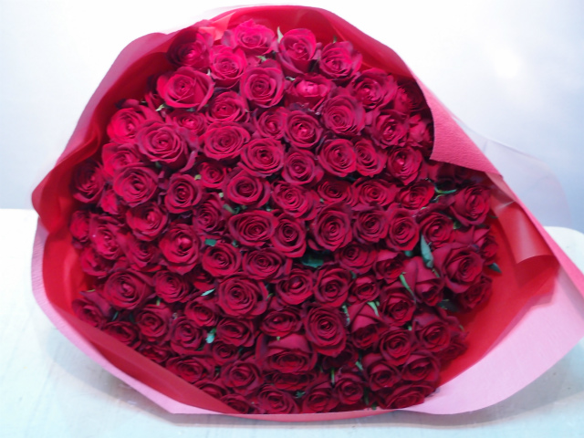 赤バラの花束　100本