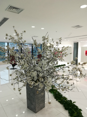 活け込み（入社式　桜）
