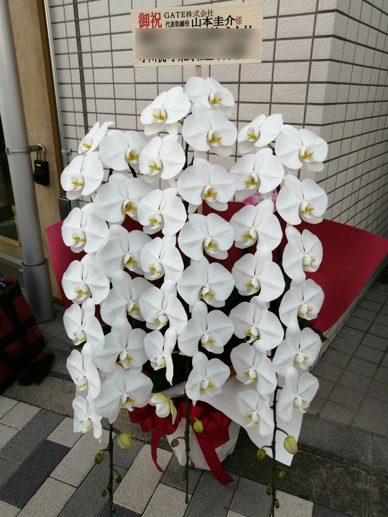 渋谷区千駄ヶ谷にお届けした移転お祝いの胡蝶蘭白3本立ち