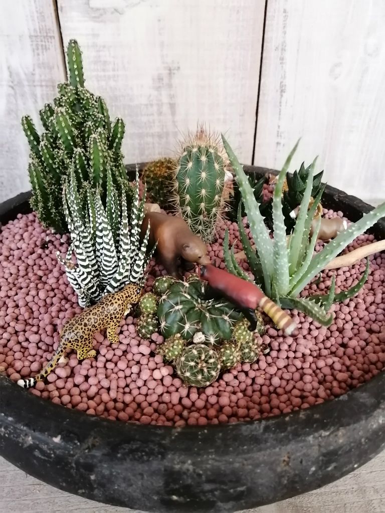 オーダーメイドでの作成となるサボテンアレンジ