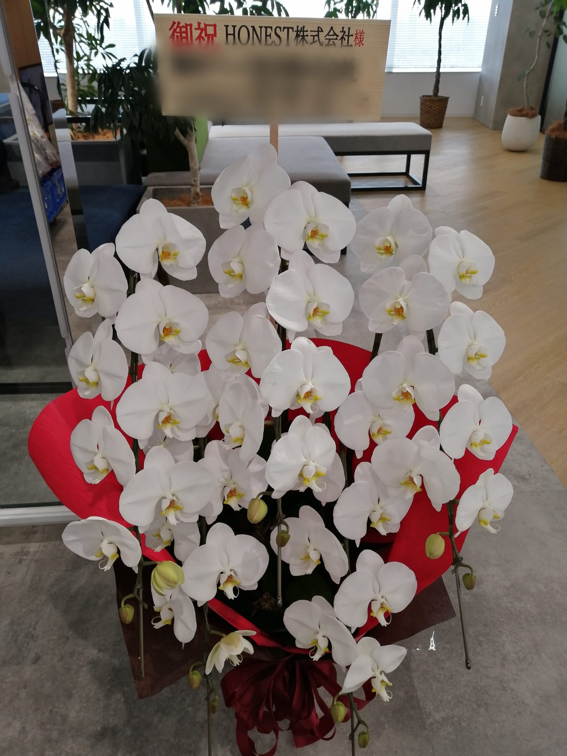 赤坂ミッドタウンタワーにお届けした移転御祝いの胡蝶蘭5本立ち