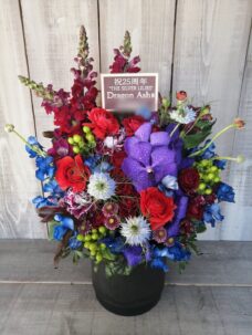 豊洲Pitにお届けした公演御祝いの楽屋花＠江東区