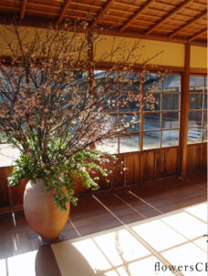 会場装花・檀上装花一覧
