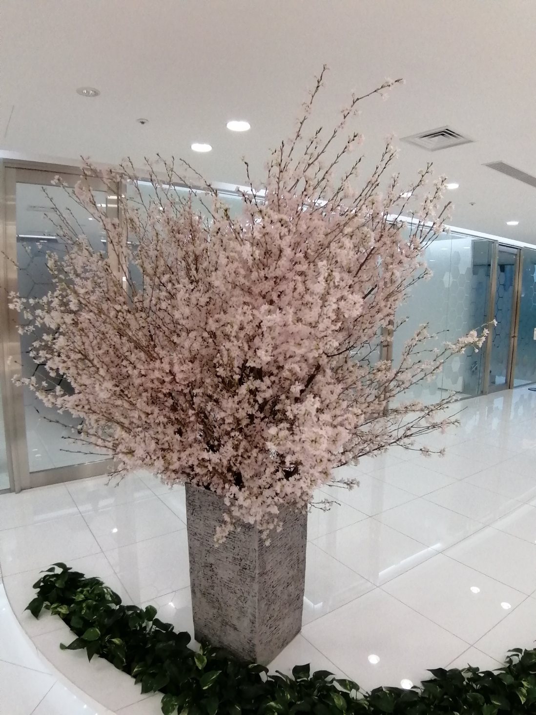 桜の活け込み 入社式