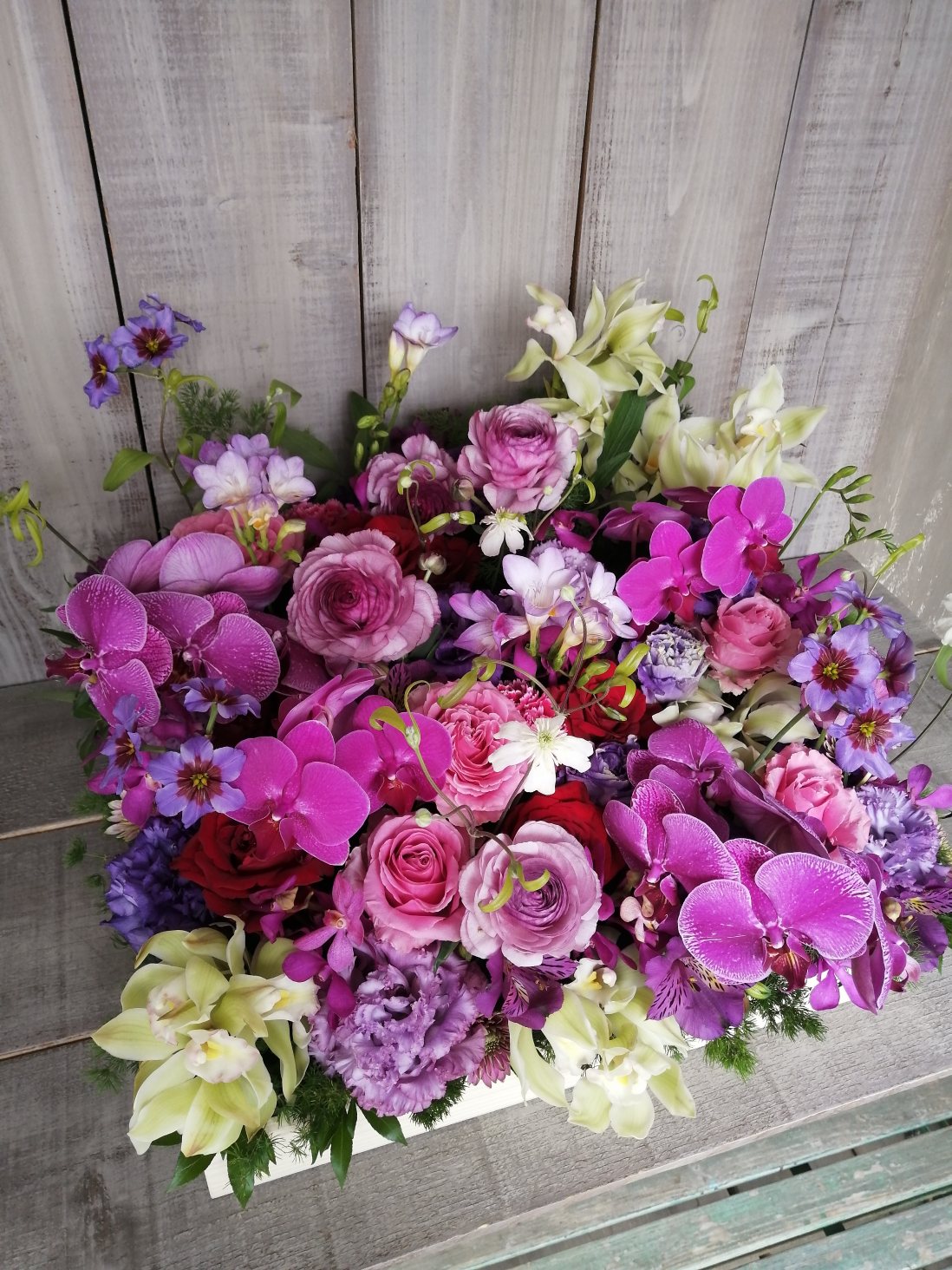 Boxflower