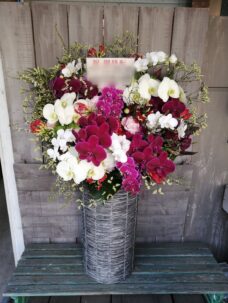 移転御祝いにお届けの胡蝶蘭のアレンジメント＠港区