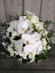 お悔みでお届けした胡蝶蘭の供花＠鎌倉市