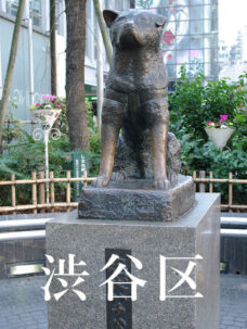 開店祝いの花を渋谷区に贈る