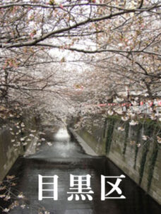 目黒区での開店祝いや開業祝いに花を贈る時
