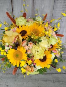 ペットホテル開店御祝いに北沢にお届けのアレンジメント