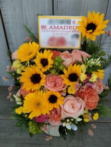 下北沢ADRIFTにお届けしたイベント開催御祝いのフラワーアレンジメント