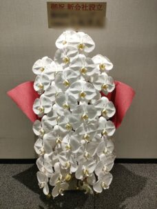 東京ガーデンテラス紀尾井町　紀尾井タワーにお届けした会社設立御祝いの胡蝶蘭