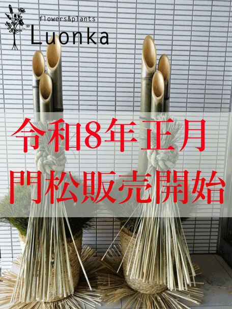 令和8年正月 大門松の販売開始 - 花と植物ルオンカ 個性的な花贈りを
