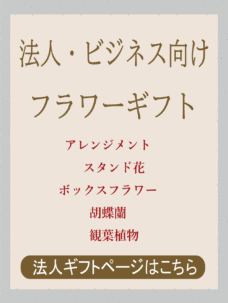 法人ギフト、ビジネスにおすすめの花