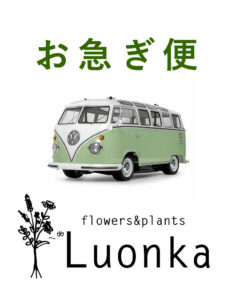 お急ぎのご注文はこちら（当日～3日後のお届け）