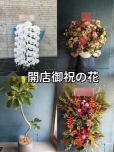 自由が丘 ミューズスクエアへの開店祝いの花について