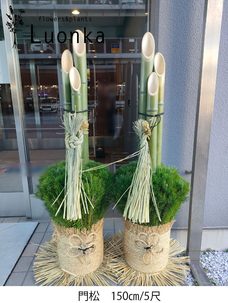 渋谷区、2014年平成26年門松予約販売締め切りました。